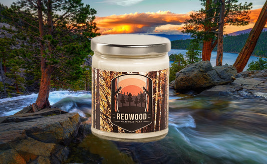National Park Inspired Candle - Redwood National Park