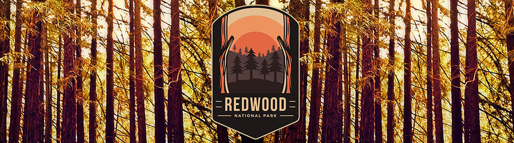National Park Inspired Candle - Redwood National Park
